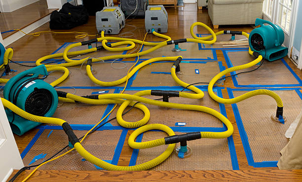 Professional Water Damage Repair technician working in Goldston, NC